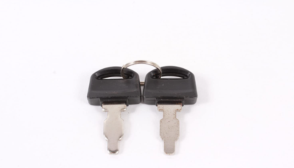 FSI Ignition Keys (Pair) Kohler (3275 &amp; 3312 Engine)