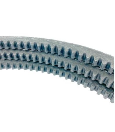 [TF-C124-A329] Rotor belt TW230 HBp/ VTRp